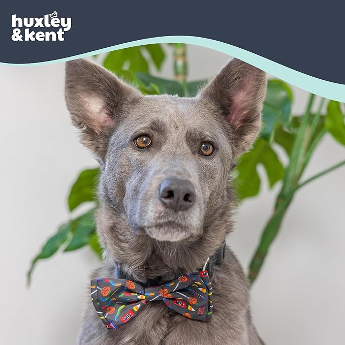 Huxley & Kent Pet Bow Tie for Dogs & Cats - Halloween Adjustable Hook & Loop Collar Accessory - Cute & Comfortable for Holidays & Celebrations - Creepy Candy, Large
