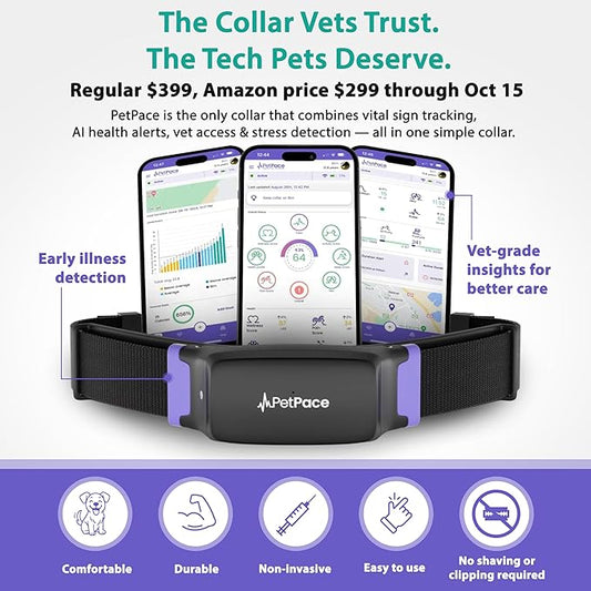 New PetPace V3.0 Cat Health Monitor by PetPace – AI Health Collar with 24/7 Vital Signs Alerts, GPS, Telehealth Consults, AskaVet & Share with Your Vet & SmartWatch Sync – Subscription Required