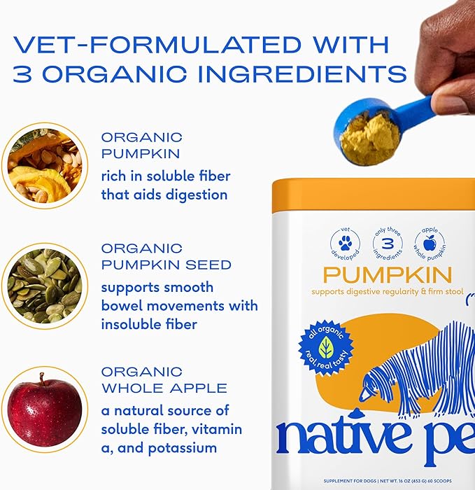 Native Pet Pumpkin for Dogs - Organic Powder Pumpkin Puree Dog Food Toppers-Rich in Fiber Supplement Powder Helps with Digestion, Nutrient Absorption, Diarrhea, Constipation & Upset Stomach-120 Scoops