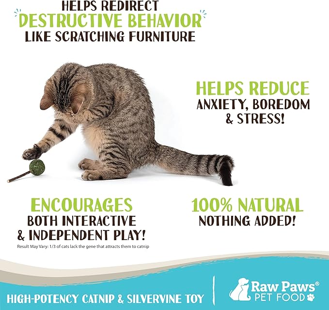 Raw Paws Catnip & Silvervine Lollipops Interactive Cat Toy (6 Pack) - Silvervine Sticks for Cats - Catnip Ball Toy - Fresh Cat Nip - Silver Vine Dental Sticks