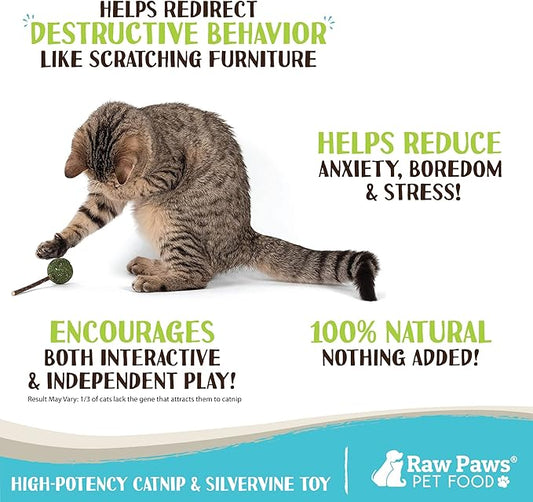 Raw Paws Catnip & Silvervine Lollipops Interactive Cat Toy (6 Pack) - Silvervine Sticks for Cats - Catnip Ball Toy - Fresh Cat Nip - Silver Vine Dental Sticks