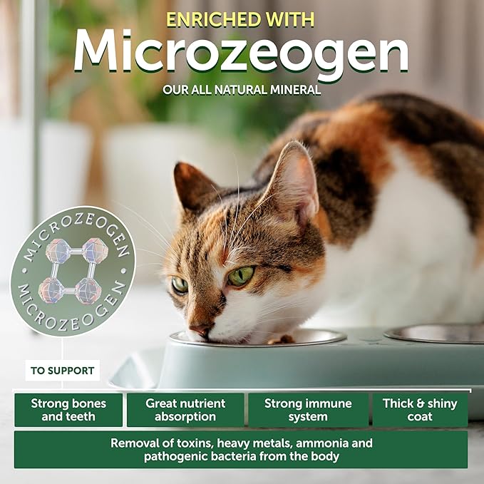 Nature's Protection Dry Cat Food - Grain Free, High Protein Cat Food Dry Kibble for Indoor Adult Cats with Red Fur - Sensitive Stomach, No Tear Stains & Hairball (Superior Care - Herring, 14.11 oz)