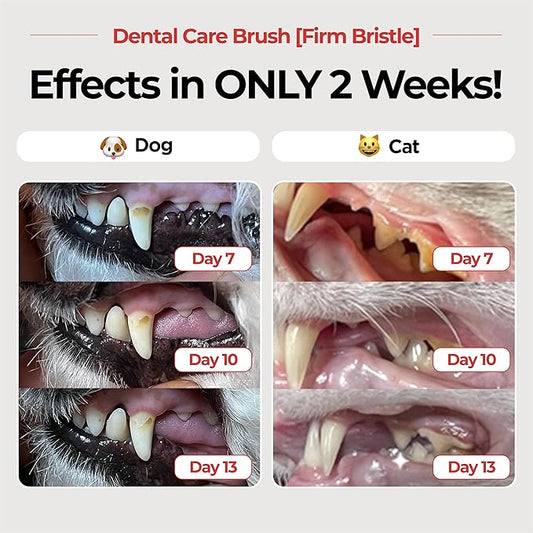 JAYU PET Dental Care Brush (Firm Bristles) 3ea - Resilient Dog Toothbrush, Cat Toothbrush for Tartar & Plaque Removal, Horizontal Head and S-Curved Body