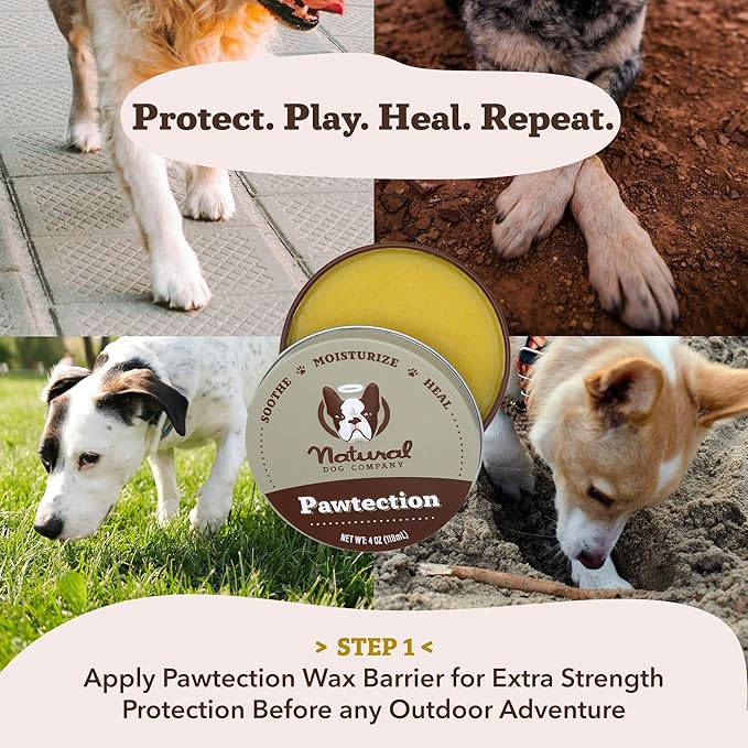 Natural Dog Company PawTection Balm 4 oz Tin – Wax-Based Paw Protector Balm with Shea & Calendula – Shields Paws from Snow, Ice, Salt, Hot Pavement & Rough Terrain – Lick-Safe, All Breeds