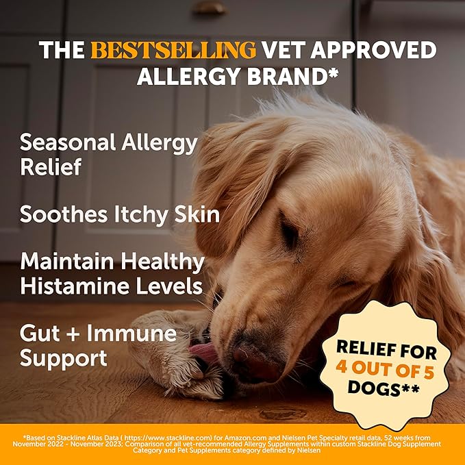 Pet Honesty Dog Allergy & Itch Relief - Advanced Itch Supplement with Probiotics for Dogs - Immune Support & Skin Relief for Seasonal Allergies - Natural Itchy Skin & Paw Relief - (Salmon, 90 Ct)
