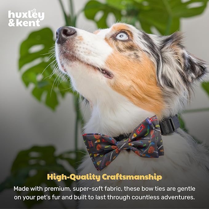 Huxley & Kent Pet Bow Tie for Dogs & Cats - Halloween Adjustable Hook & Loop Collar Accessory - Cute & Comfortable for Holidays & Celebrations - Creepy Candy, Large