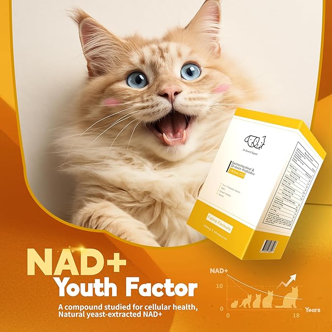 Dr. Kiwi O'dogcat Probiotics for Cats | Support Gut Health, Diarrhea, Digestive Health & Seasonal Allergies