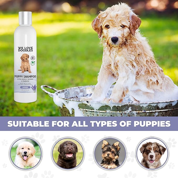 We Love Doodles Lavender Puppy Shampoo & Dog Detangler Spray - Organic Ingredients, Tear Free Shampoo for Puppies, Sensitive & Itchy Skin Wash, Dematting Spray for Dogs, Tangle Remover