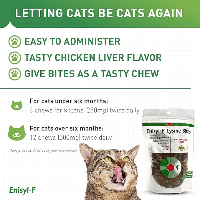 Vetoquinol Enisyl-F Lysine Bites: L-Lysine Chews for Cats & Kittens - Chicken Liver-Flavor, 6.4oz (180g) Recloseable Bag