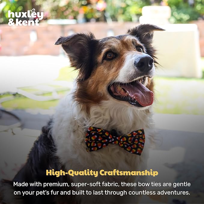 Huxley & Kent Pet Bow Tie for Dogs & Cats - Halloween Adjustable Hook & Loop Collar Accessory - Cute & Comfortable for Holidays & Celebrations - Candy Corn, Extra-Large
