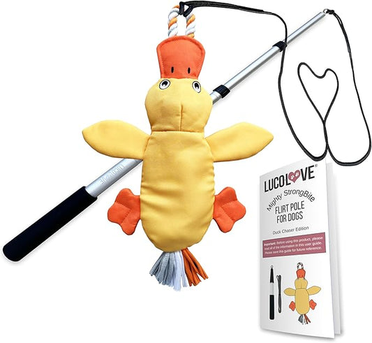 Flirt Pole for Dogs Heavy Duty - Multi-Sensory Tough Chase Toy for Medium & Large Breeds – Extra Strong 35" Dog Teaser Wand for Backyard Play, Training and Interactive Fun (Duck)