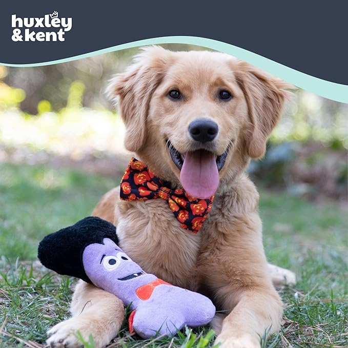 Huxley & Kent Pet Bow Tie for Dogs & Cats - Halloween Adjustable Hook & Loop Collar Accessory - Cute & Comfortable for Holidays & Celebrations - Plaid-O-Lantern, Extra-Large