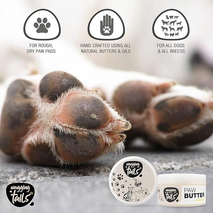 Wagging Tails 6-in-1 Paw Butter for Dogs & Cats, 1.76 fl oz (Pack of 2) Turmeric & Honey-Infused Lick-Safe Balm | Relieves Elbow & Paw Discomfort, Repairs Cracks, Moisturizes Pads & Softens Snouts