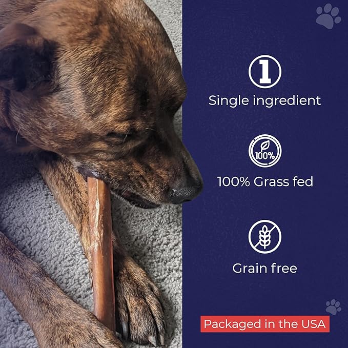 Devil Dog Pet Co. Jumbo Bully Sticks – 12 Inch, 6 Pack Dog Chews, 100% Natural, Single Ingredient, Free-Range Grass-Fed Beef – Long Lasting, Rawhide-Free Treats for Dogs
