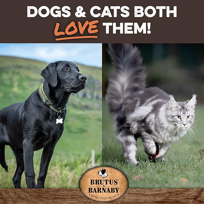 BRUTUS & BARNABY Dehydrated Lung Dog & Cat Treats, 28oz – USA Organ Meat Stick (Beef & Turkey Lung, Liver), High Protein Pet Snack