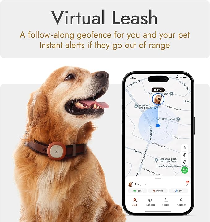 Molly&Cody GPS + Bluetooth Pet Tracker for Cats & Dogs – Real‑Time Tracking, Virtual Fence, IP67 Waterproof, Up to 60‑Day Battery, Health Monitoring, iOS/Android – Subscription Required (Gold)