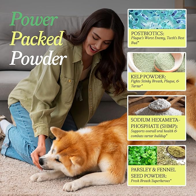 OTHER HALF Doggie Dental Supplement Powder - Dog Breath Freshener & Teeth Cleaning Made Easy - Oral Health Postbiotic for Dogs - Targets Tartar, Plaque & Bad Breath | 45 Scoops, Bacon Flavor