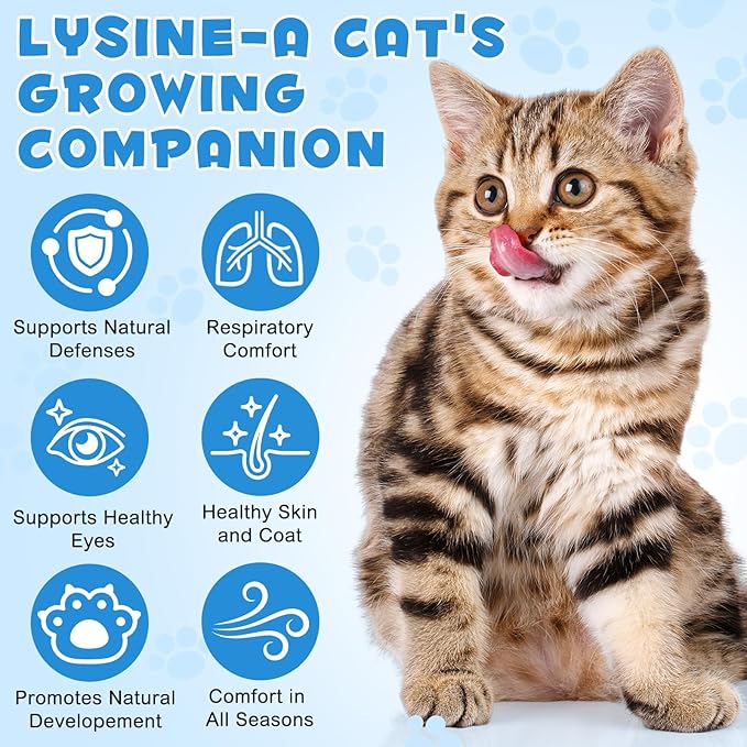 Specifically Formulated L-Lysine for Cats & Kittens, Immune, Respiratory & Sneezing, Runny Nose, Eye Function, Liquid Cat Supplement with Astragalus, Atractylodes, Dangshen & Vitamins A, B1, B2, B6