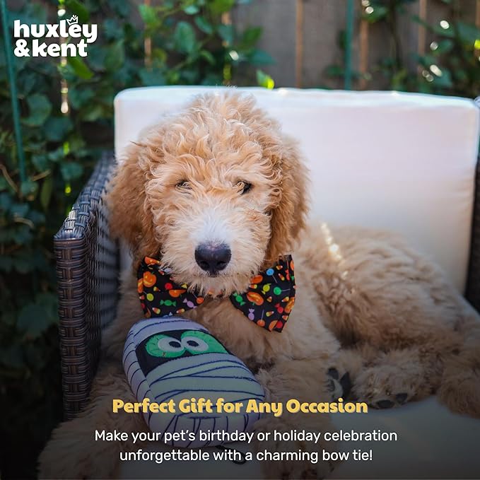 Huxley & Kent Pet Bow Tie for Dogs & Cats - Halloween Adjustable Hook & Loop Collar Accessory - Cute & Comfortable for Holidays & Celebrations - Trick or Treat, Small