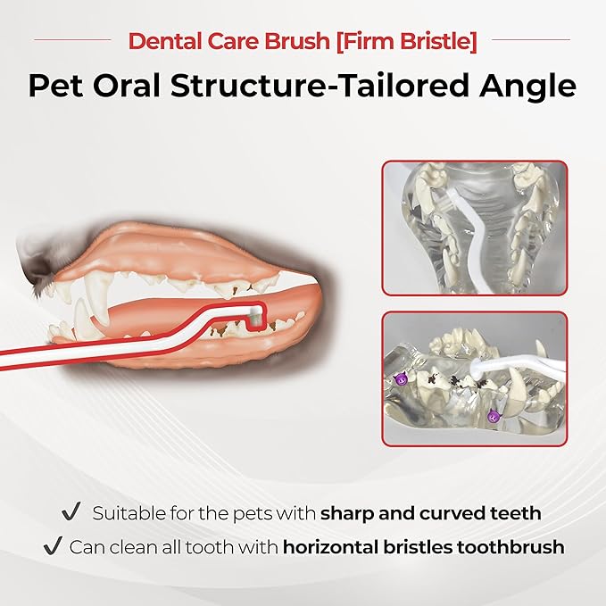 JAYU PET Dental Care Brush (Firm Bristles) 3ea - Resilient Dog Toothbrush, Cat Toothbrush for Tartar & Plaque Removal, Horizontal Head and S-Curved Body