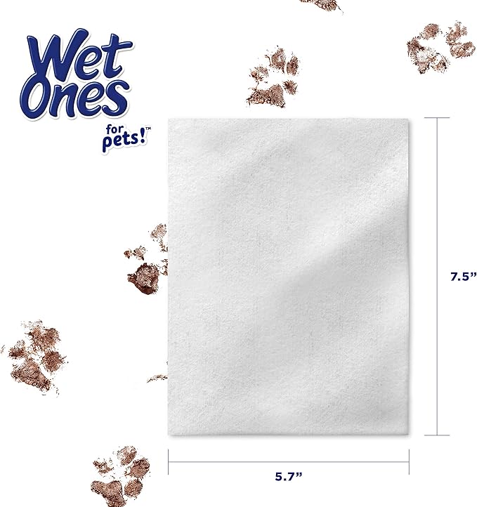 Wet Ones for Pets Extra Gentle Dog Wipes with Witch Hazel for Snout, Eye, Ear - Fragrance-Free Dog Wipes for All Dogs Wet Ones Wipes with Wet Lock Seal (Pack of 24, 720 Count Total)