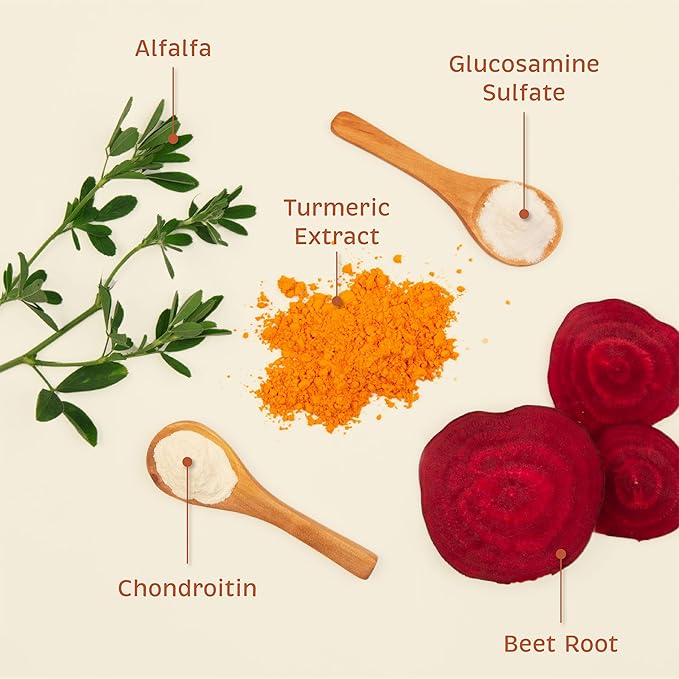 Spirited Paw Pet Health Bundle - Dental & Joint Support for Dogs - Teeth Powder & Chewable Wafers for Plaque, Tartar, and Mobility - 165 g Powder & 100 Wafers