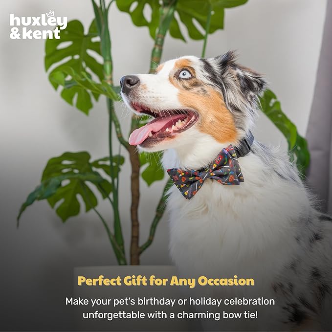 Huxley & Kent Pet Bow Tie for Dogs & Cats - Halloween Adjustable Hook & Loop Collar Accessory - Cute & Comfortable for Holidays & Celebrations - Creepy Candy, Extra-Large