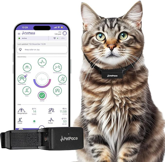 New PetPace V3.0 Cat Health Monitor by PetPace – AI Health Collar with 24/7 Vital Signs Alerts, GPS, Telehealth Consults, AskaVet & Share with Your Vet & SmartWatch Sync – Subscription Required