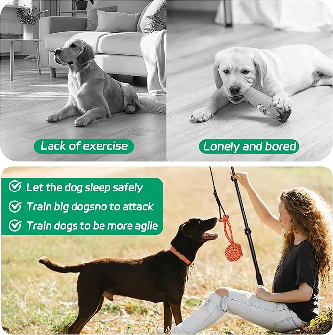Flirt Pole for Dogs, Interactive Toys Tug-of-war for Pet, Durable Teaser Wand, Chase Toys with Rope Chewing Sticks, for Outdoor Exercise & Training