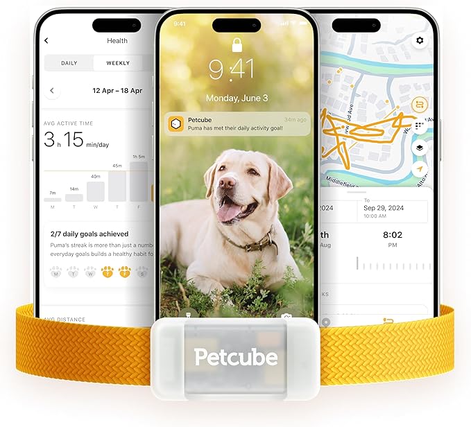 Petcube GPS Tracker for Dogs | Pet GPS Location Tracker with Escape Alerts and Virtual Fences, Activity and Wellness Monitoring, Glows in a Dark, Water and Dust Proof