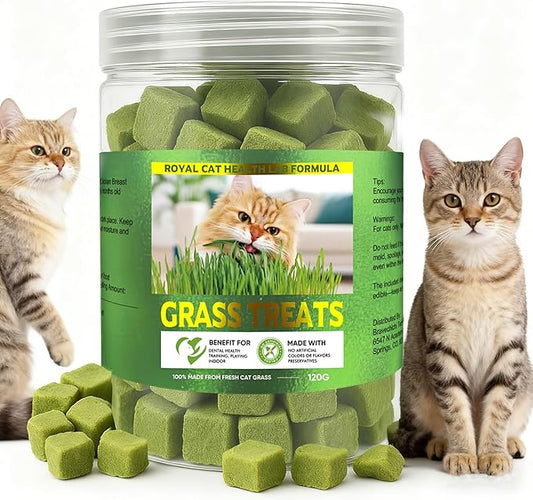 Cat Grass Treats, Organic Grass Treats for Indoor Cats, Hairball Relief & Dental Health Support, Natural Snacks with High Fiber Formula