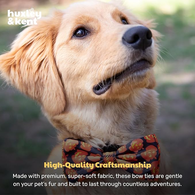 Huxley & Kent Pet Bow Tie for Dogs & Cats - Halloween Adjustable Hook & Loop Collar Accessory - Cute & Comfortable for Holidays & Celebrations - Plaid-O-Lantern, Small
