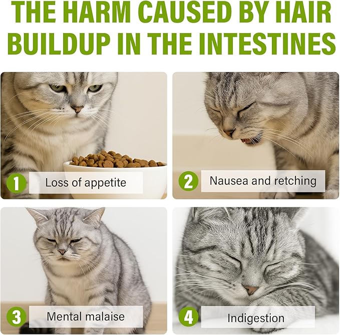 Cat Grass Treats, Organic Grass Treats for Indoor Cats, Hairball Relief & Dental Health Support, Natural Snacks with High Fiber Formula