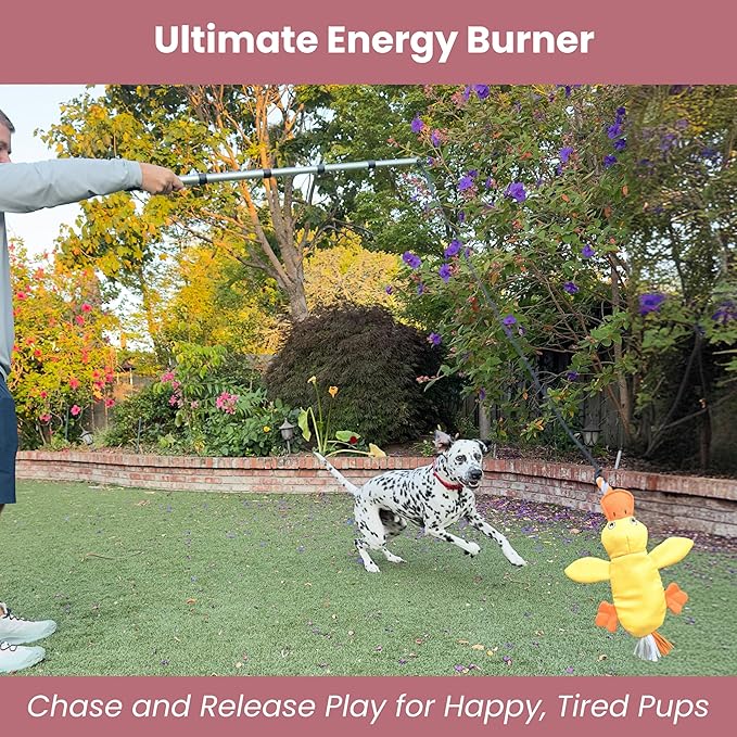 Flirt Pole for Dogs Heavy Duty - Multi-Sensory Tough Chase Toy for Medium & Large Breeds – Extra Strong 35" Dog Teaser Wand for Backyard Play, Training and Interactive Fun (Duck)