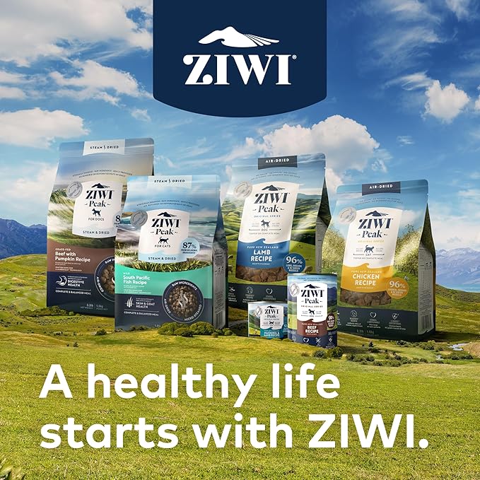ZIWI Peak Canned Wet Dog Food – All Natural, High Protein, Grain Free, Limited Ingredient, with Superfoods (Tripe & Lamb, Case of 12, 13.75oz Cans)