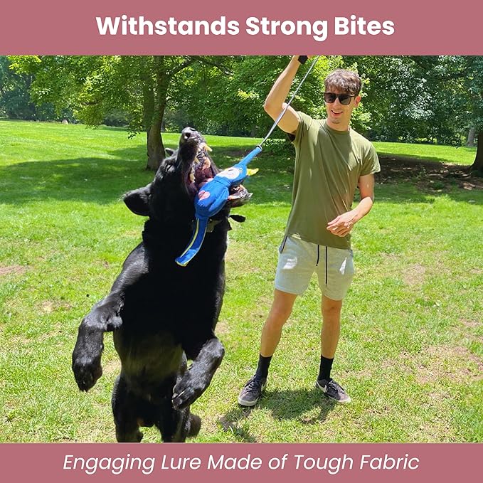 Flirt Pole for Dogs Heavy Duty - Multi-Sensory Tough Chase Toy for Medium & Large Breeds – Extra Strong 35" Dog Teaser Wand for Backyard Play, Training and Interactive Fun (Raccoon)