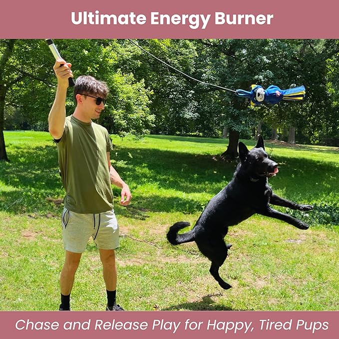Flirt Pole for Dogs Heavy Duty - Multi-Sensory Tough Chase Toy for Medium & Large Breeds – Extra Strong 35" Dog Teaser Wand for Backyard Play, Training and Interactive Fun (Raccoon)