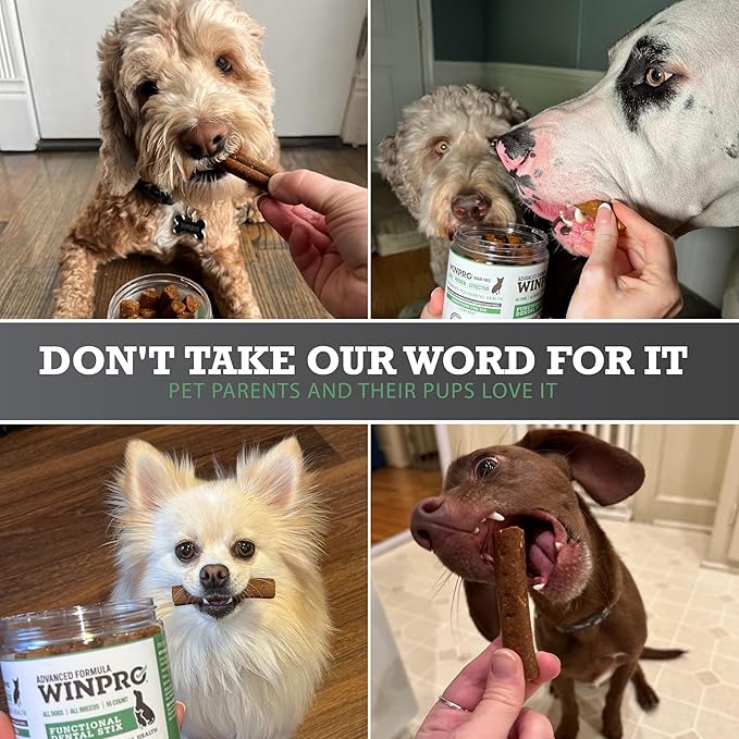 WINPRO Pet Functional Dental Stix for Dogs, 16 Sticks, Plasma Powered Dental Dog Chew Sticks That Promotes Gum and Peridontal Health
