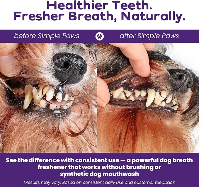 Dental Powder for Dogs Teeth – Dog Dental Powder for Teeth Cleaning – All Natural Bad Dog Breath Treatment with Probiotics for Fresh Breath & Oral Health – Chicken Flavored, 60 Scoop Supply