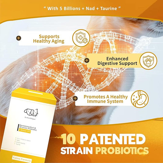 Dr. Kiwi O'dogcat Probiotics for Cats | Support Gut Health, Diarrhea, Digestive Health & Seasonal Allergies