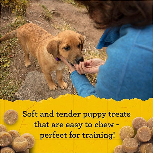 Zuke's Puppy Naturals Bag of Soft Puppy Treats for Training, Natural Dog Treats Bites with Salmon Recipe, 5 oz.,