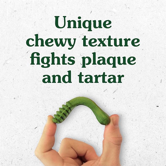 Greenies Gingerbread Flavor Petite Size, Veterinarian-Recommended for Dental Care, Dog Treat Chews, Great Holiday Dog Stocking Stuffers, Limited Edition, 6 oz., Pouch (10 Treats)