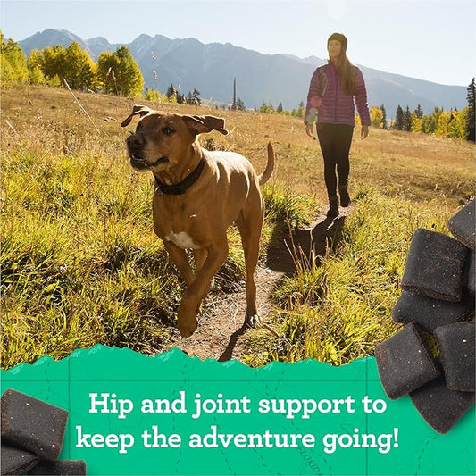 Zuke's Hip and Joint Support Dog Treats for Adult Dogs, Senior Dog Treats Made with Real Peanut Butter and Oats, 16 oz. Resealable Pouch - 16 oz. Bag