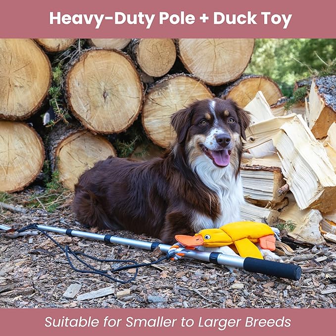 Flirt Pole for Dogs Heavy Duty - Multi-Sensory Tough Chase Toy for Medium & Large Breeds – Extra Strong 35" Dog Teaser Wand for Backyard Play, Training and Interactive Fun (Duck)