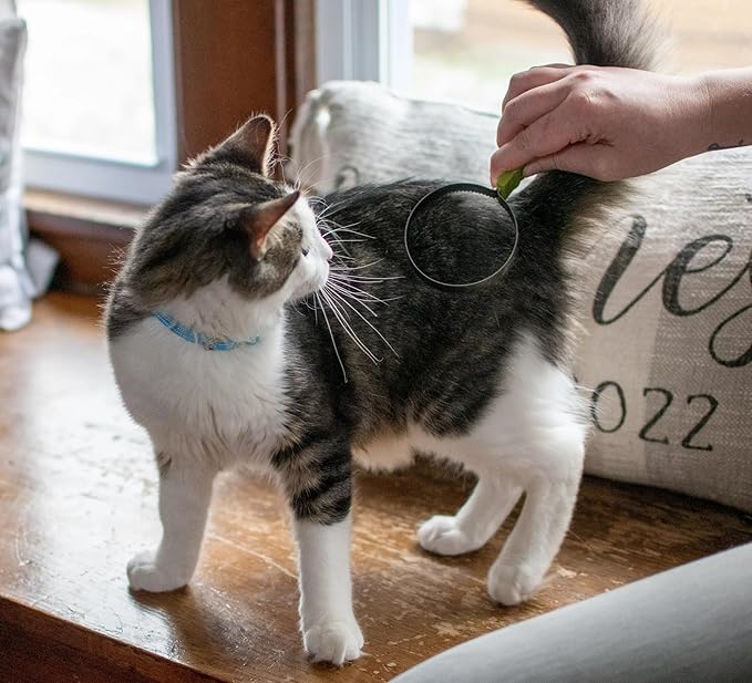 Coastal Pet Stainless Steel Safari Cat Shedding Blade - Cat Hair Removal Brush - Pet Grooming Tool to Prevent Hairballs - 7.5" x 3"