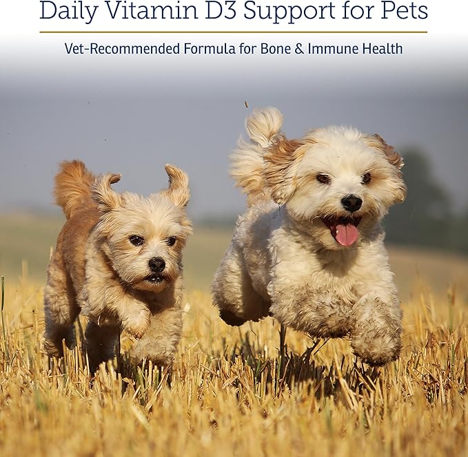 Rx Vitamins Rx D3 - Cat & Dog Vitamins Liquid D3 Drops in MCT Oil - Vitamin D for Dogs & Cats to Manage Deficiency - Aids in Dog Immune Support and Calcium Absorption - Pet Vitamin D3-2oz
