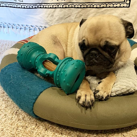 Himalayan Jughead Slim Dog Chew Holder - Holds Chews & Treats for Dogs, Slows Down Fast Chewers for Long Lasting Chews - for Himalayan YUM and Churro Treats, and Veggie Treats Like Apples & Carrots