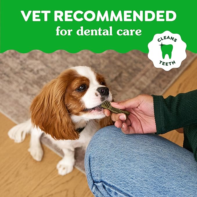 Greenies Gingerbread Flavor Petite Size, Veterinarian-Recommended for Dental Care, Dog Treat Chews, Great Holiday Dog Stocking Stuffers, Limited Edition, 6 oz., Pouch (10 Treats)