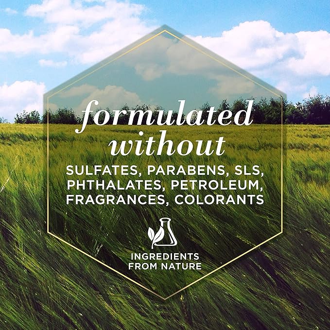 Burt's Bees for Pets Oatmeal Dog Conditioner with Colloidal Oat Flour & Honey - Soothing Relief Conditioner for Dogs, Gentle Dog Hair Conditioner for Oatmeal Bath, Grooming Supplies, 10 Fl Oz