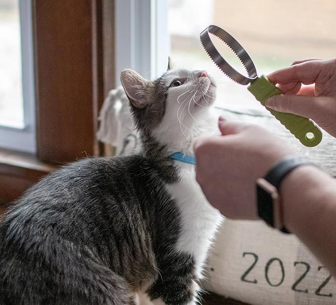 Coastal Pet Stainless Steel Safari Cat Shedding Blade - Cat Hair Removal Brush - Pet Grooming Tool to Prevent Hairballs - 7.5" x 3"